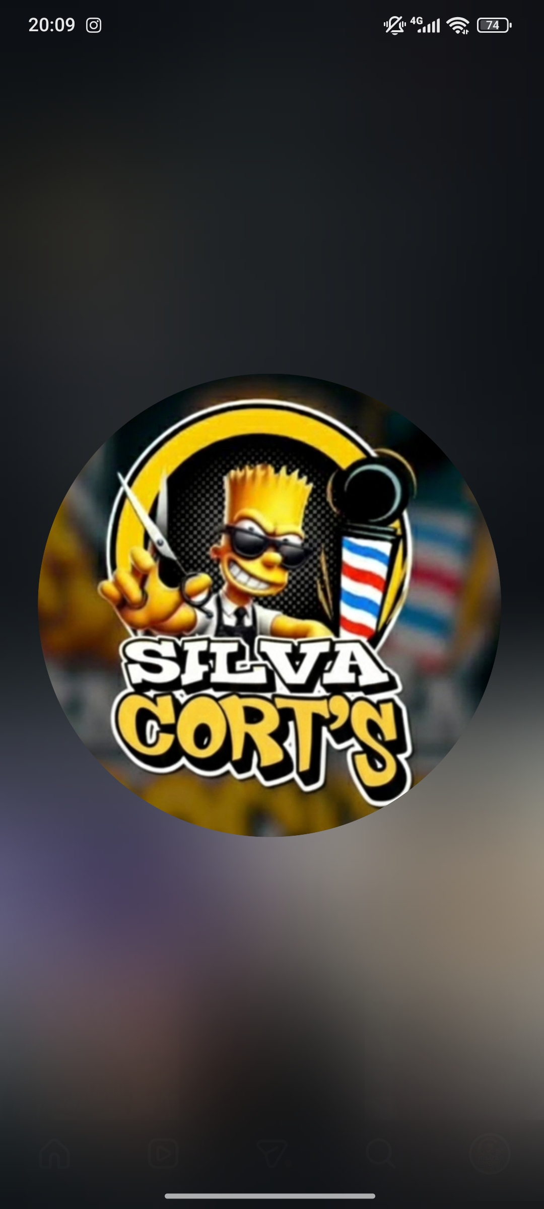 Silva corts